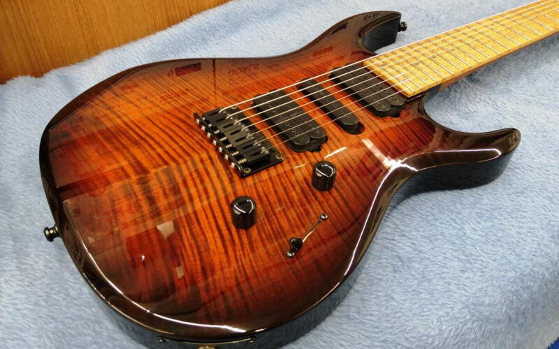 CARVIN / DC SERIES (no 20240923)